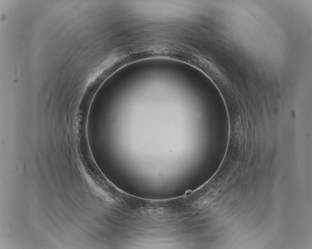 X0000089700730200706211317