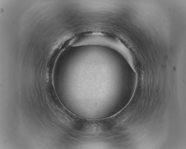 X0000089700731200706211317