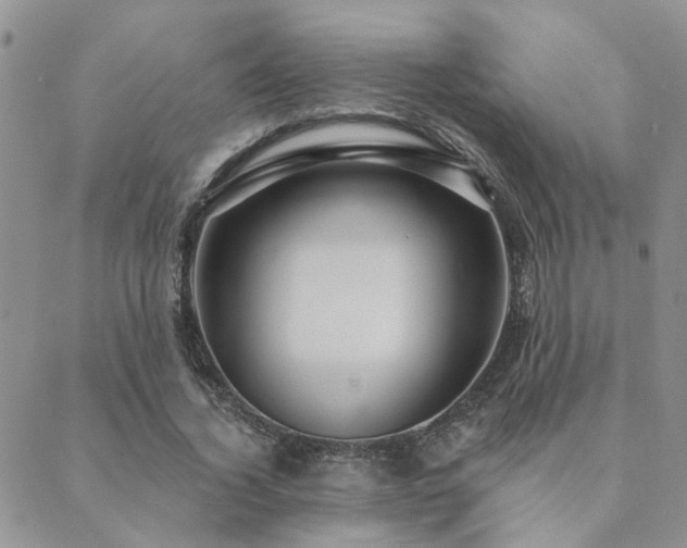 X0000089700732200706211317