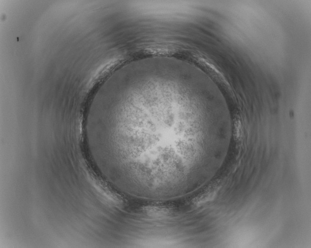 X0000089700733200706211317