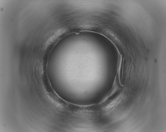 X0000089700734200706211317