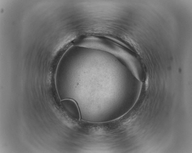 X0000089700735200706211317