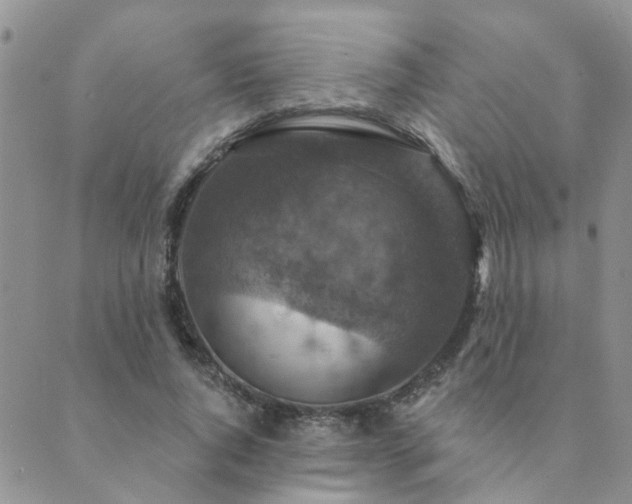 X0000089700736200706211317