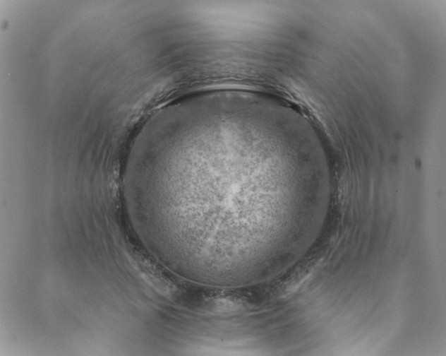 X0000089700737200706211317