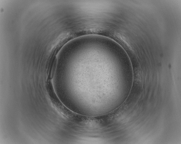 X0000089700738200706211317