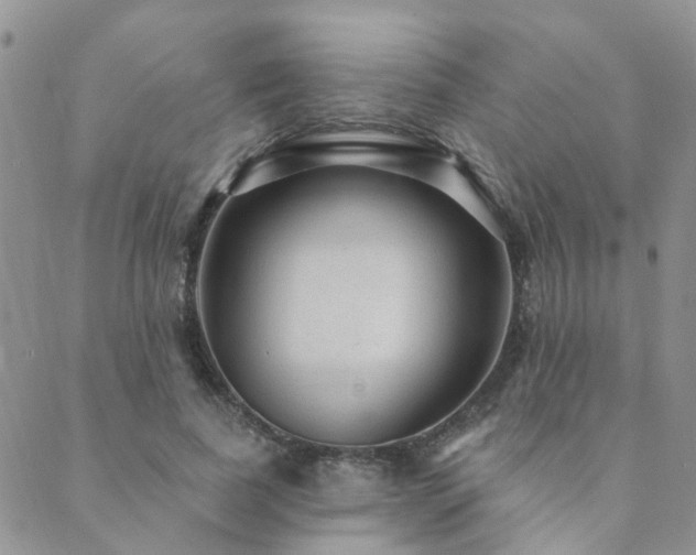 X0000089700739200706211317