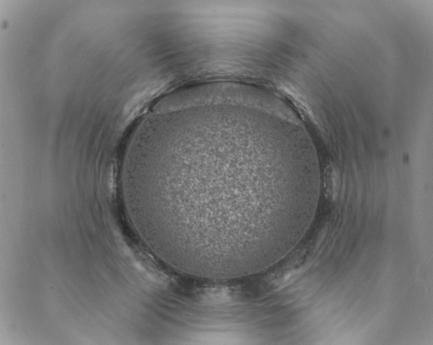 X0000089700740200706211317