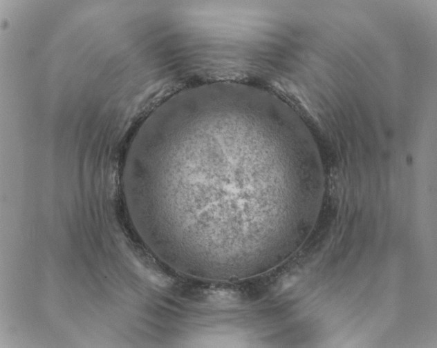 X0000089700741200706211317