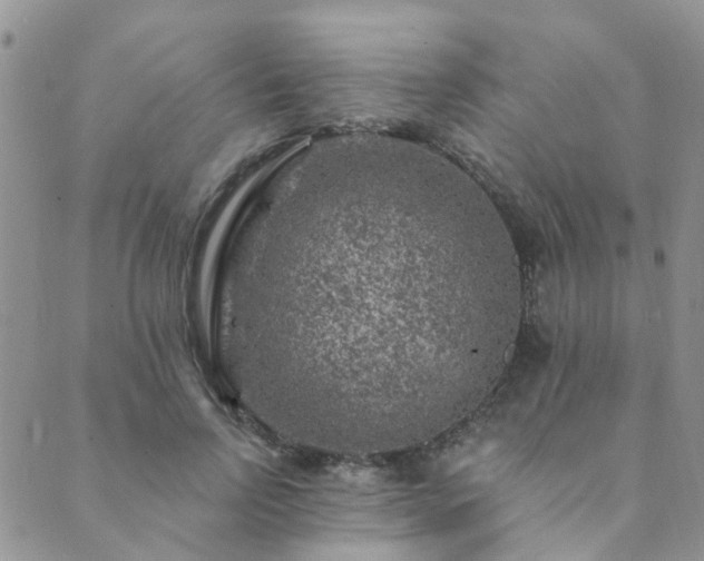 X0000089700742200706211318