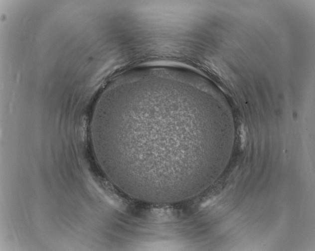 X0000089700744200706211318