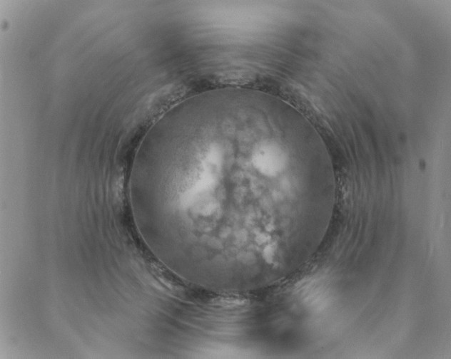 X0000089700745200706211318