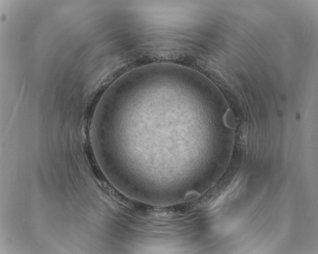 X0000089700746200706211318