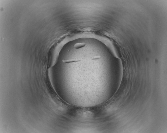 X0000089700747200706211318