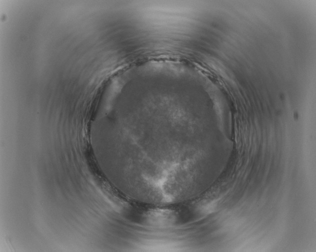 X0000089700748200706211318