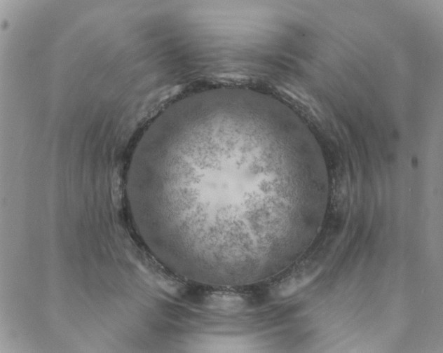 X0000089700749200706211318