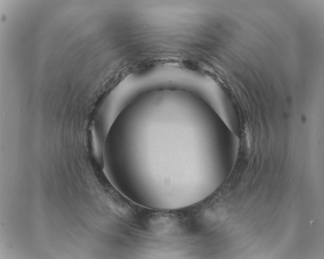 X0000089700750200706211318