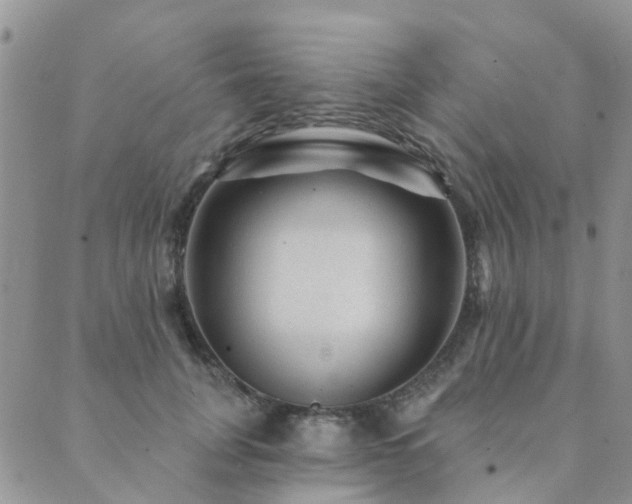 X0000089700751200706211318