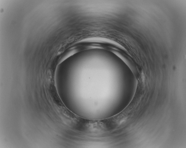 X0000089700752200706211318