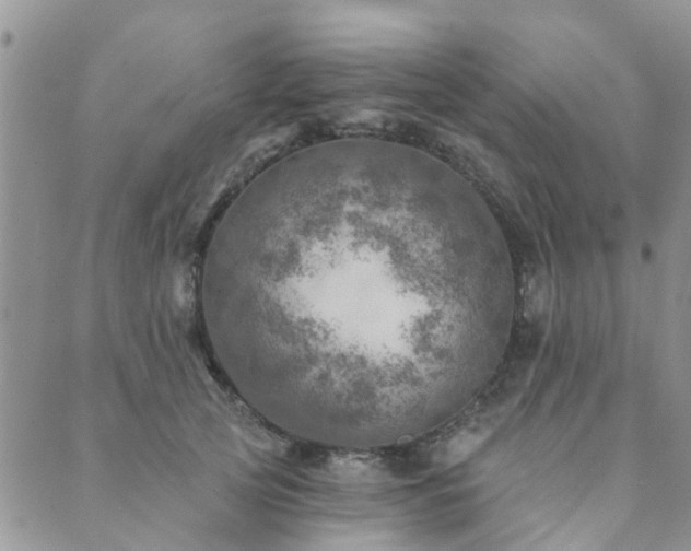 X0000089700753200706211318