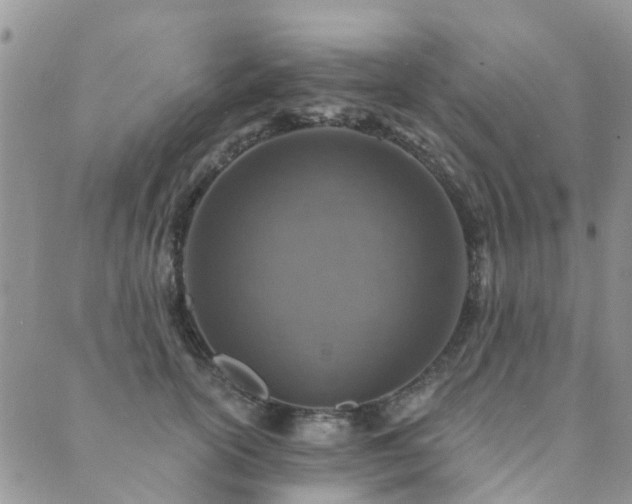 X0000089700754200706211318