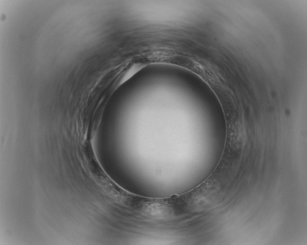 X0000089700755200706211318