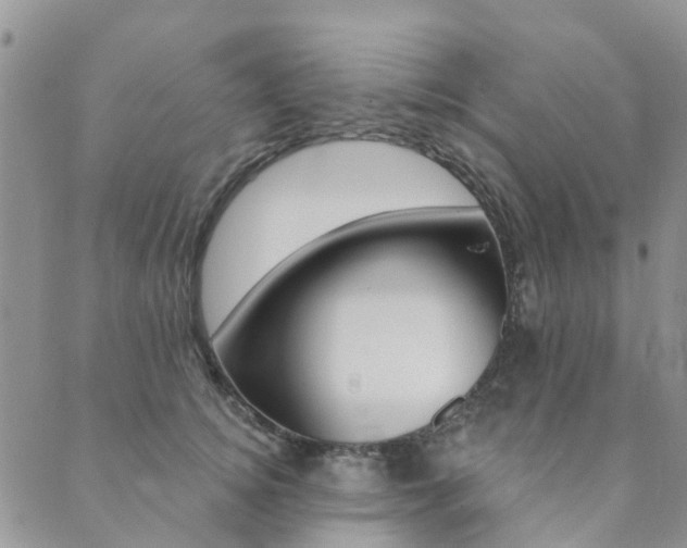 X0000089700756200706211318