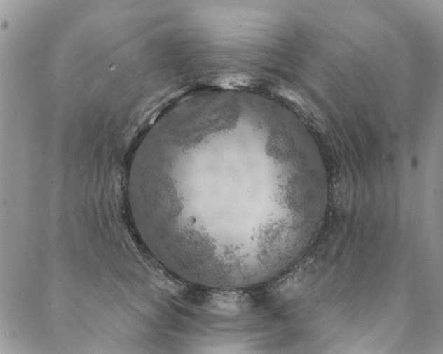 X0000089700757200706211318