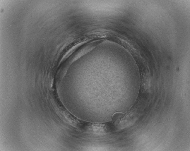 X0000089700758200706211318