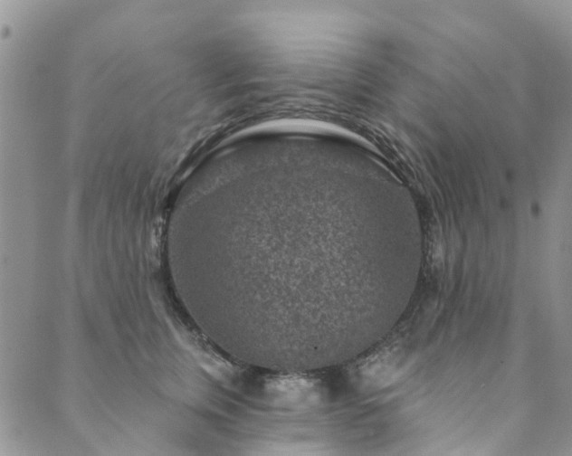 X0000089700759200706211318