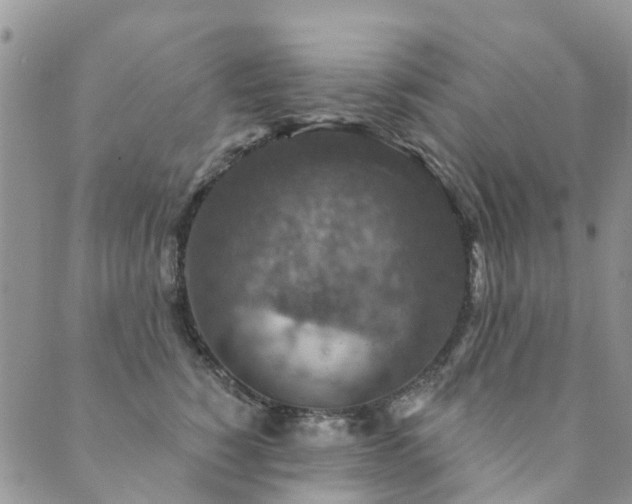 X0000089700760200706211318