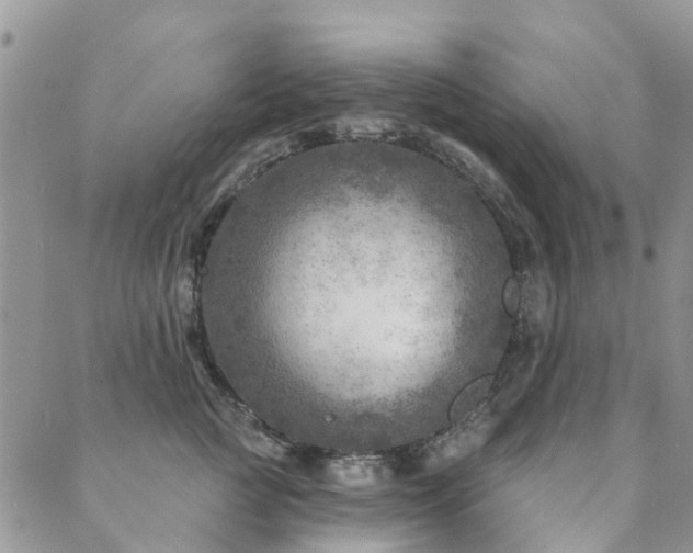 X0000089700761200706211318