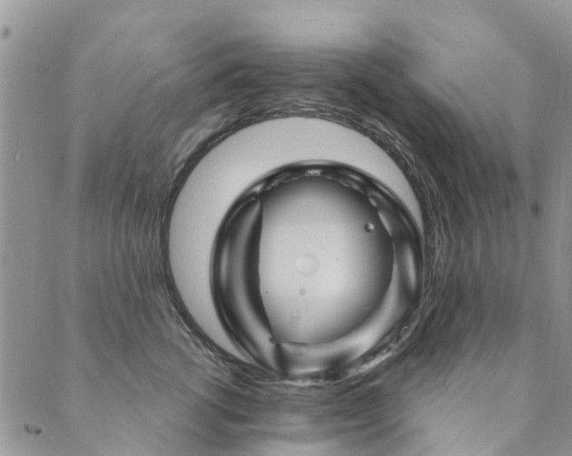 X0000089700762200706211318