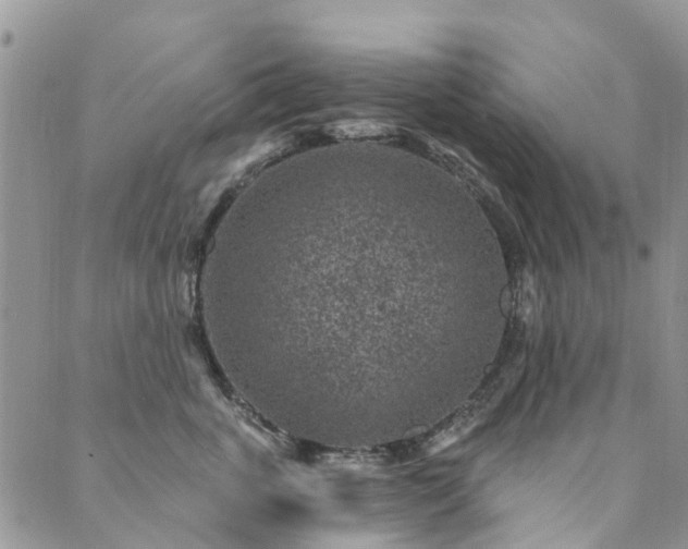 X0000089700763200706211318