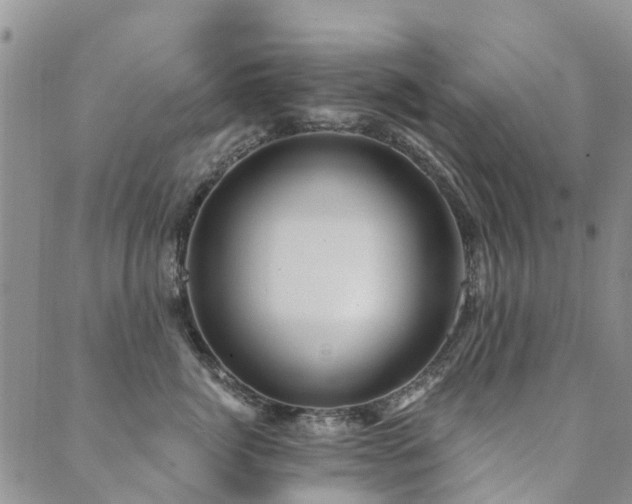 X0000089700764200706211318