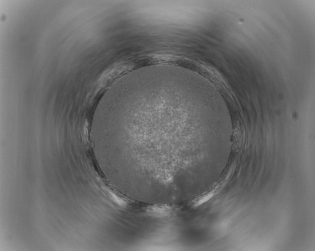 X0000089700765200706211318