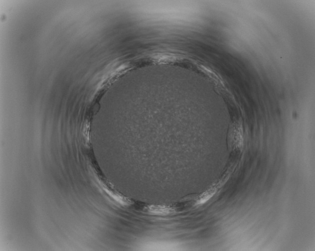 X0000089700766200706211318