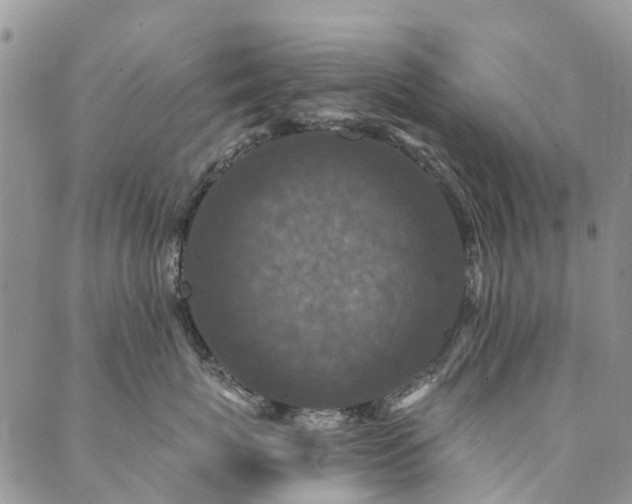 X0000089700767200706211318