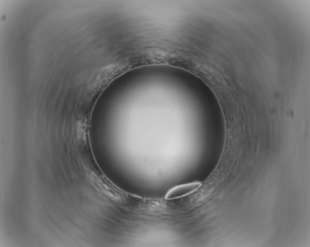 X0000089700768200706211318