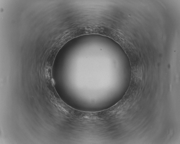 X0000089700770200706211317