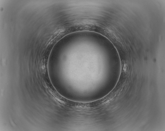 X0000089700771200706211317