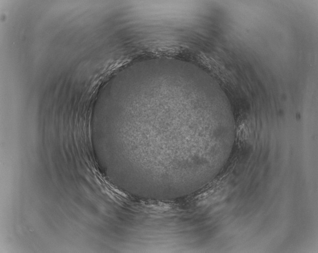 X0000089700772200706211317