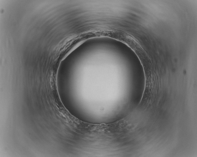 X0000089700773200706211317