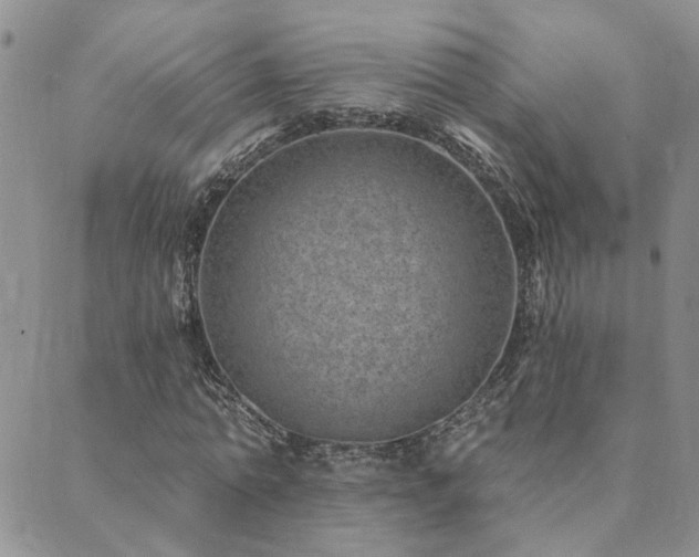 X0000089700774200706211317