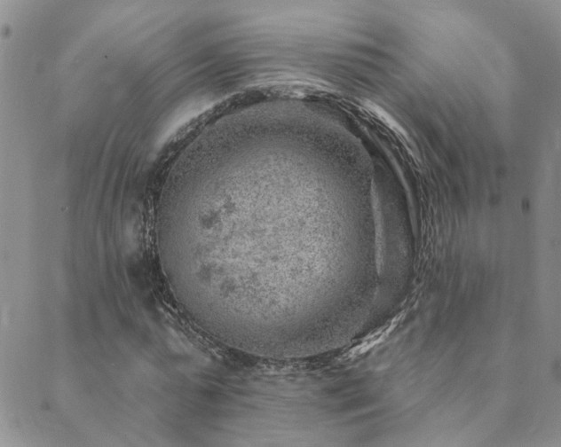 X0000089700775200706211317