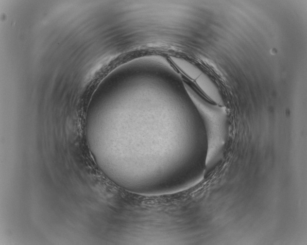 X0000089700776200706211317