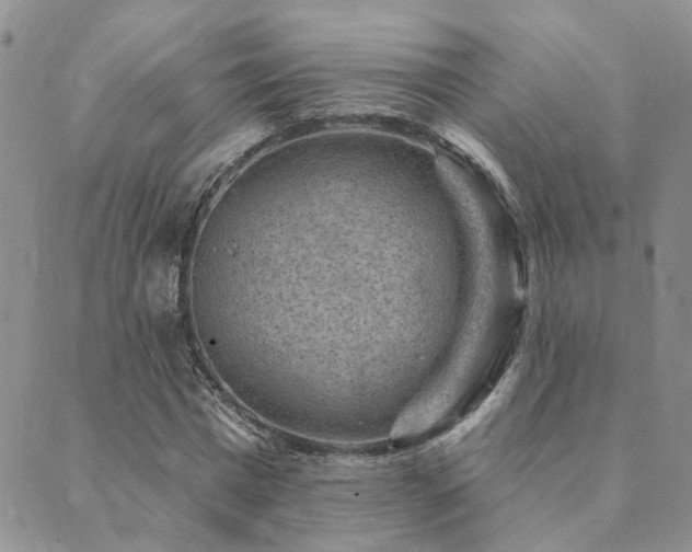 X0000089700777200706211317