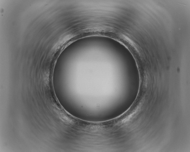 X0000089700778200706211317