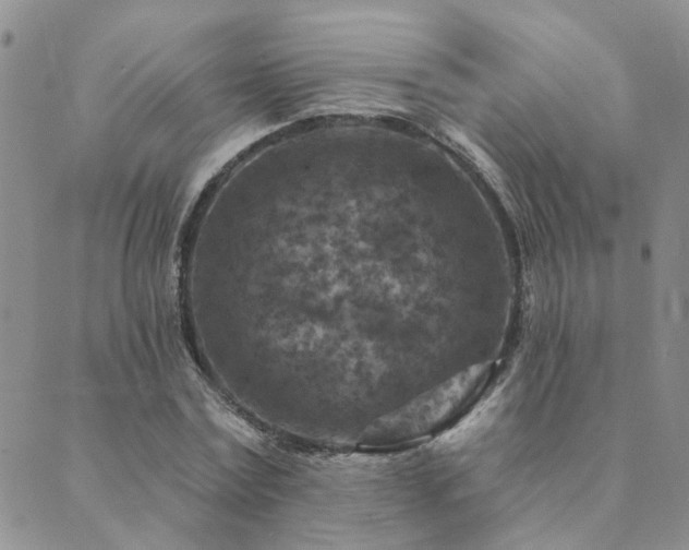 X0000089700779200706211317