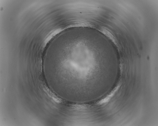 X0000089700781200706211317