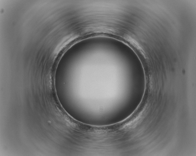 X0000089700782200706211317